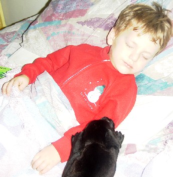 photo of Alex and puppy in bed