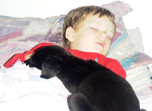 photo of Alex and puppy in bed
