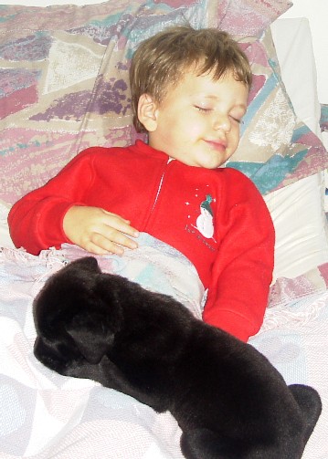 photo of Alex and puppy in bed