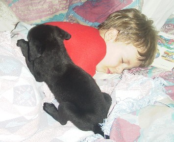 photo of Alex and puppy in bed
