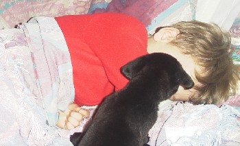 photo of Alex and puppy in bed