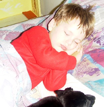 photo of Alex and puppy in bed
