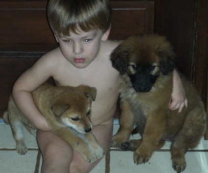 photo of Alex and puppies