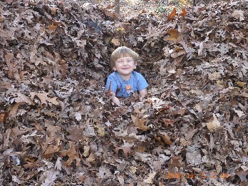 photo of Alex playing in the leaf pile