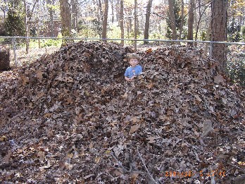 photo of Alex playing in the leaf pile