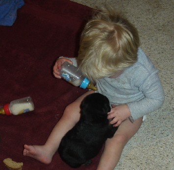 photo of Ben trying to feed a puppy