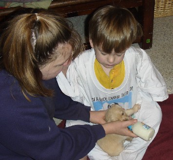 photo of Alex feeding a puppy