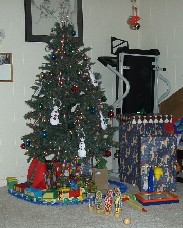 photo of the Christmas tree with a flash